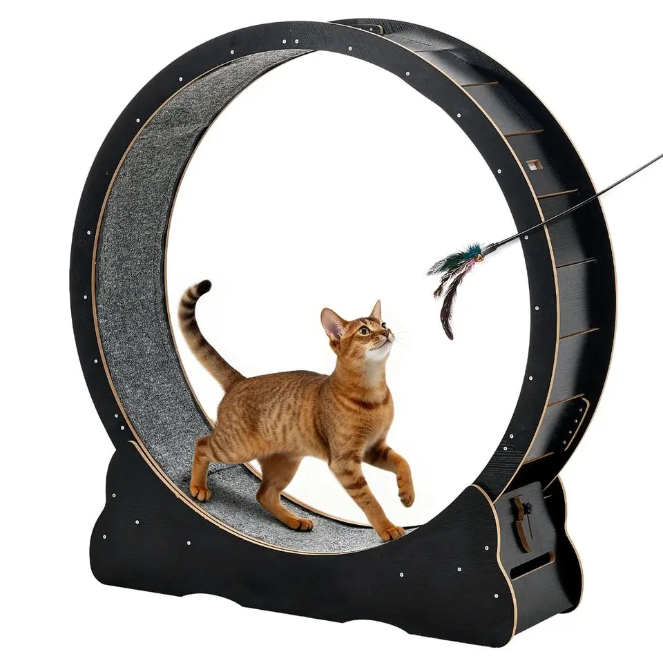 Cat Exercise Wheel, 48 In Wooden Cat Running Wheel For Indoor Cats Up To 28 Lbs, Cats Treadmill With Carpeted Runway, Quiet Kitten Sport Toys For Pets Fitness & Health, Black