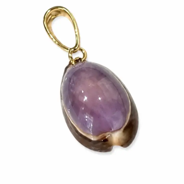 Dije de caracol morado natural con conector oro laminado el size 25 cm aproximadamente ya que es natural