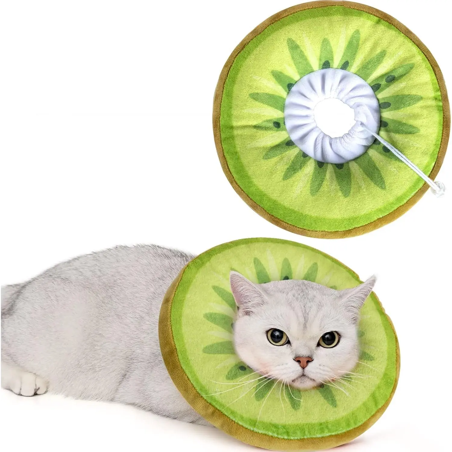 Kiwifruit