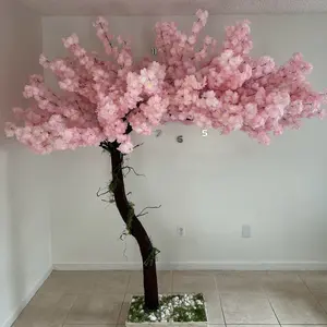 Cherry Blossom Tree  Decorative Plants