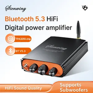 Bluetooth 5.3 Stereo Amplifier, 2 Channel HiFi Audio Amp with AUX & USB Input, Up to 300W x2 Output, DSP Sound Processing, Compact Desktop Amp for Home Speakers (Subwoofer Version Available)