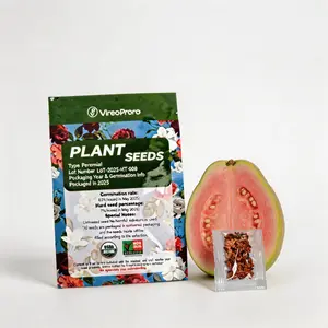 Guava seeds, suitable for potted plants, greenhouses and outdoor gardens, easy-to-cultivate fruit tree seeds.