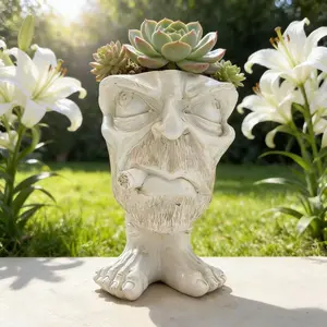 A whimsical resin vase with a human face sculpture - a rustic-style cylindrical succulent planter pot, perfect for indoor/outdoor gardens, patios, and living rooms; a whimsical garden decoration.