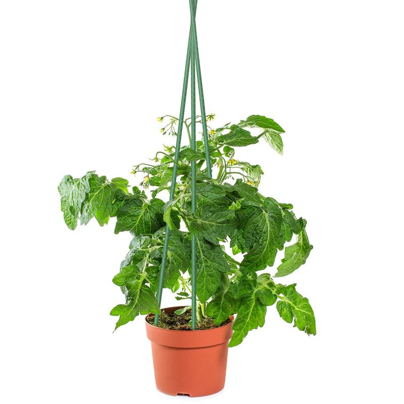 SUNNYGLADE 48" Plant Stakes Garden Tomato Sticks Durable Metal & Green Plastic Coated Supports for Potted Plants with Non-Slip Bump Design & Sharp Points for Easy Placement