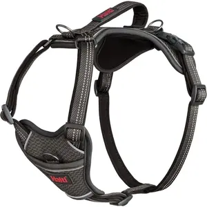 Grey, Medium: 19 to 26.75-in chest Halti Anatomy Reflective Dog Harness, Grey, Medium: 19 to 26.75-in chest