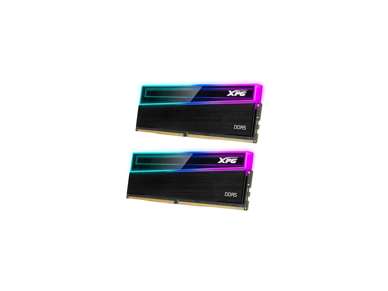 XPG NOVAKEY 32GB (2 x 16GB) 288-Pin PC RAM DDR5 5600 (PC5 44800) Desktop Memory Model AX5U5600C4616G-DCNKRBK