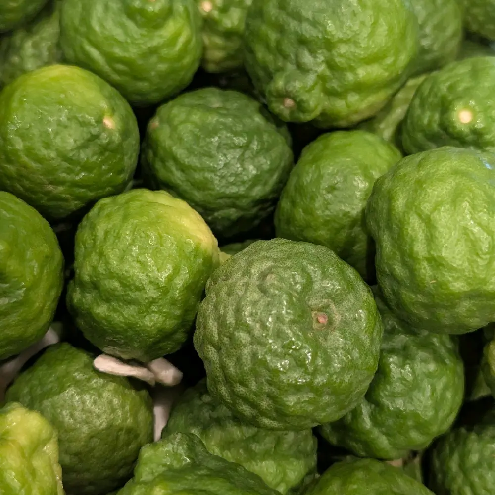 10 Pcs Fresh Limes Bergamot, Dried Food Staples for Cooking Essentials