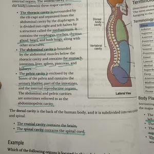 ATI TEAS 7 Complete Study System