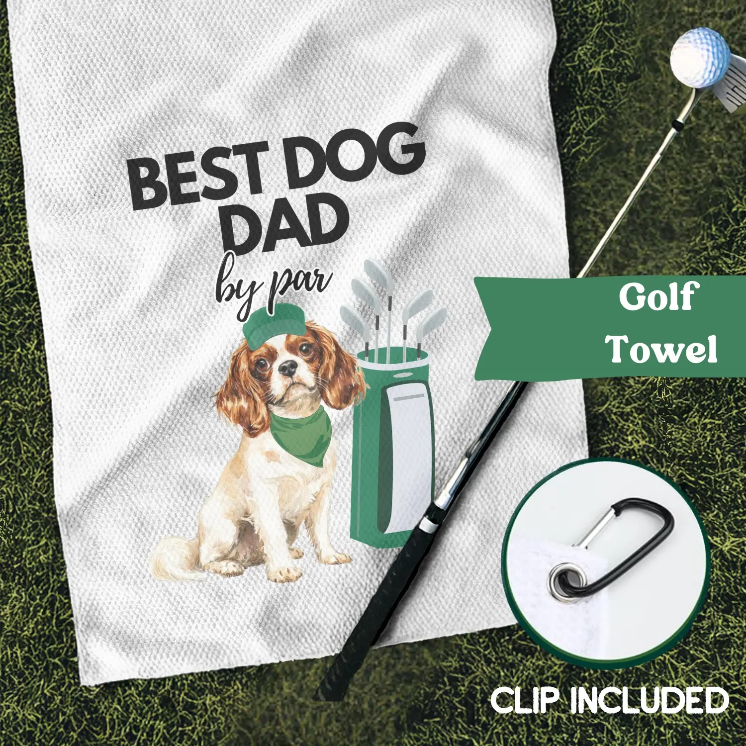 Cavalier spaniel Blenheim