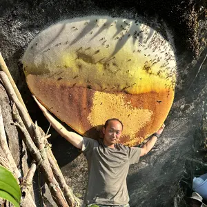 China Yunnan Wild Forest Cliff Honey - Authentic Natural Product from Yunnan's Remote Cliffs for Pure Honey Lovers - Natural Origin & Cliff Harvested Flavor Sweet