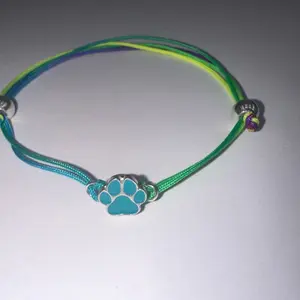 Teal dog, poor charm, multicolored cord bracelet