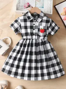 Toddler Gingham Apple Dress, Cute Back to School Plaid Shirt Dress, Stylish Toddler, Perfect for Autumn Season, Buttoned Dress, Button Down Dress