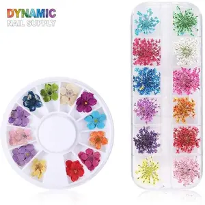 3D Dry Flower Nail Art Stickers, Nail Decoration Accessories for Beauty & Personal Care