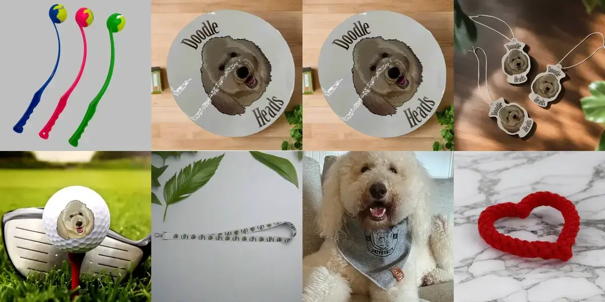 background preload poster image 