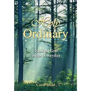 USED-Holy Ordinary: Finding God in the Everyday by Carol Mead (Paperback)