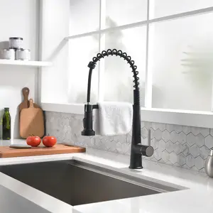 Black Pull-Down Sprayer Kitchen Faucet, 22" Reach, Rust-Resistant Commercial Spring Design Plumbing Fixture