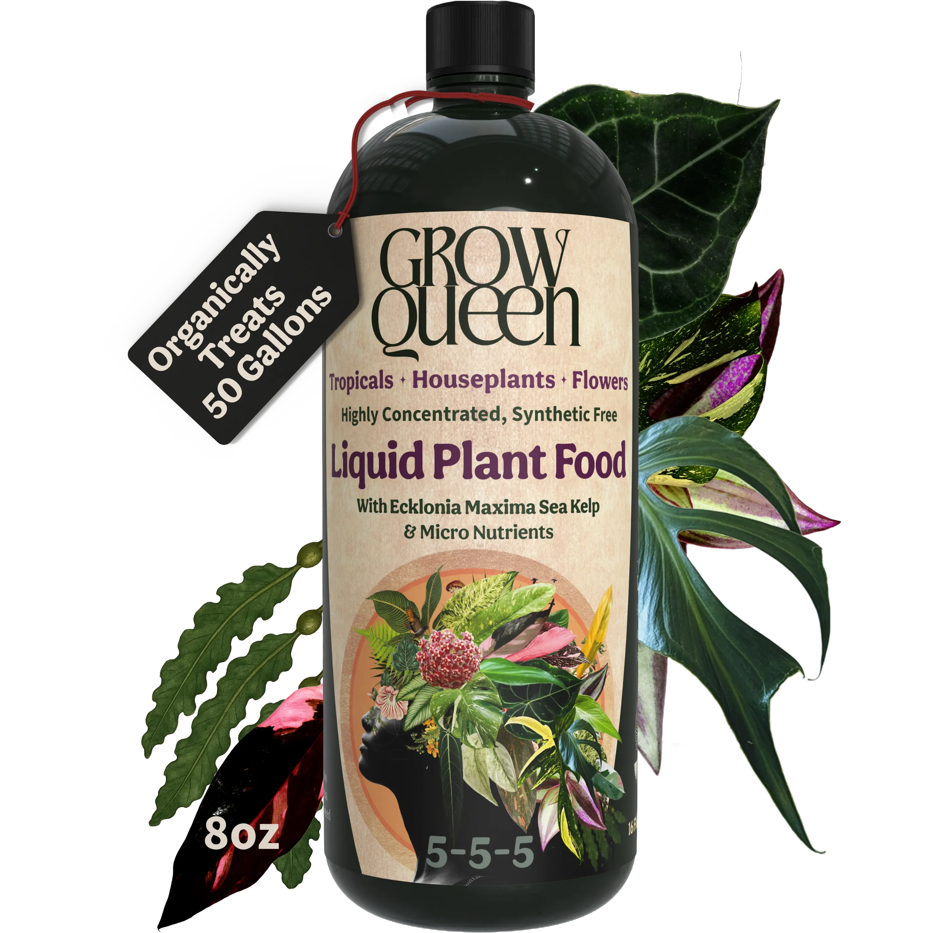 Organic 5-5-5 Liquid Plant Food Organic 5-5-5 Liquid Plant Food