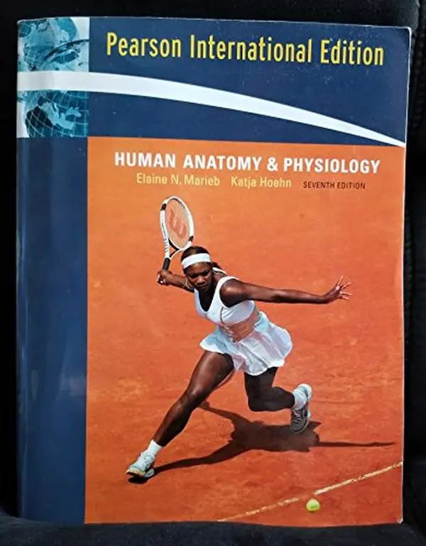 USED Book - Human Anatomy and Physiology 7th Edition by Elaine Nicpon Marieb (Paperback) - english