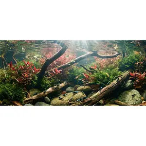 Shrimp Workshop - Friday, April 24th, 2026