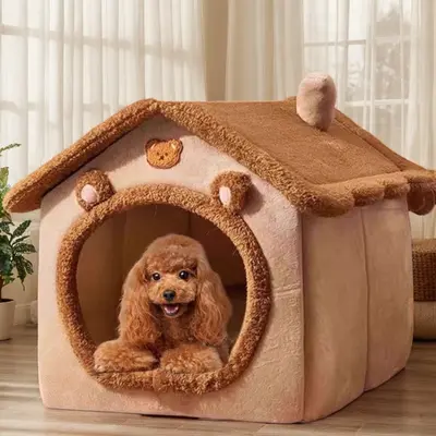 Indoor Dog House for Small Dogs TikTok Shop