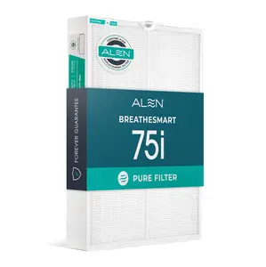 BreatheSmart 75i HEPA Filter
