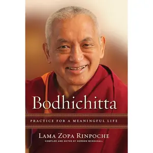 Bodhichitta: Practice for a Meaningful Life - English Comprehensive Buddhist Guide with Accessible Philosophical Explanation, Practice Insights, Concrete Advice for Practitioners