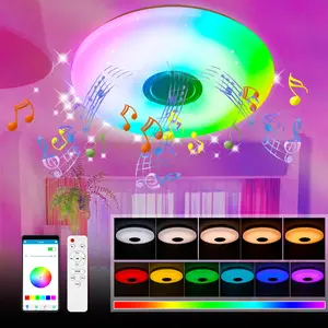 LED Smart Music Ceiling Light AC100-240V DSP Melody Player 256Colors Dimmable BT APP Bluetooth Control RGB Timing Function Memory Mode Colorful Mood Lamp Bedroom Living Room KTV Bar Festival Party Mlticolor Rhythm Decoration Lighting Fixture with Remote