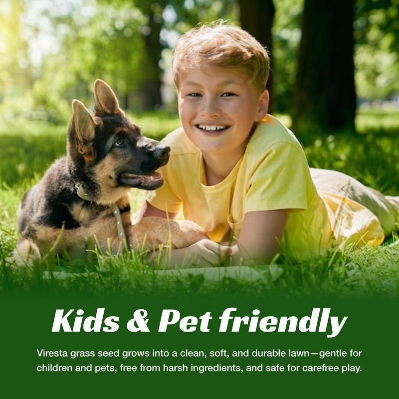 Grass Seed and Shade Grass, Grows quickly and withstands all seasons, perfect for high-quality turf and golf courses, High Germination Grass Seeds Grown in USA