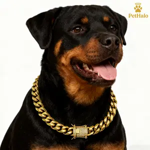 18K Gold Plated Dog Cuban Chain Collar with Iced Out Dragon Head Clasp – Heavy Duty Stainless Steel Dog Necklace, Luxury Pet Jewelry & Accessories 16/18/20/22/24/26inch pet necklace