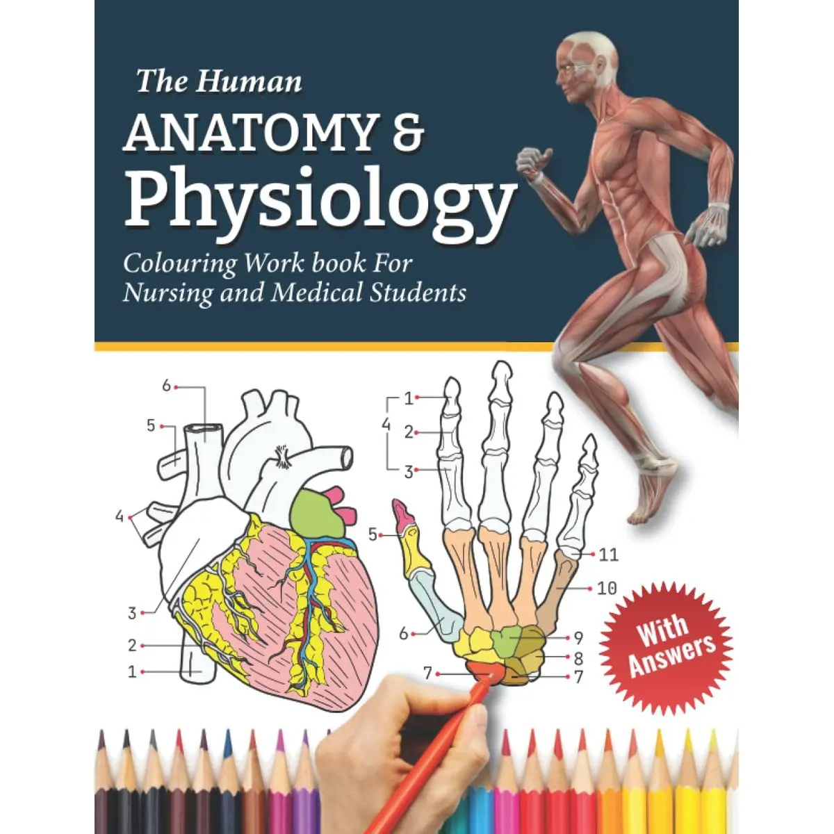 The Human Anatomy and Physiology Colouring Work Book For Nursing and Medical Students: Learn Anatomy & Physiology Creatively by Colouring & Labelling ... Doctors, Medical students and Science Lovers Paperback – Large Print, June 10, 2022