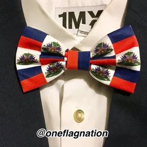 Haitian Flag Pattern Bow Tie (Unisex)