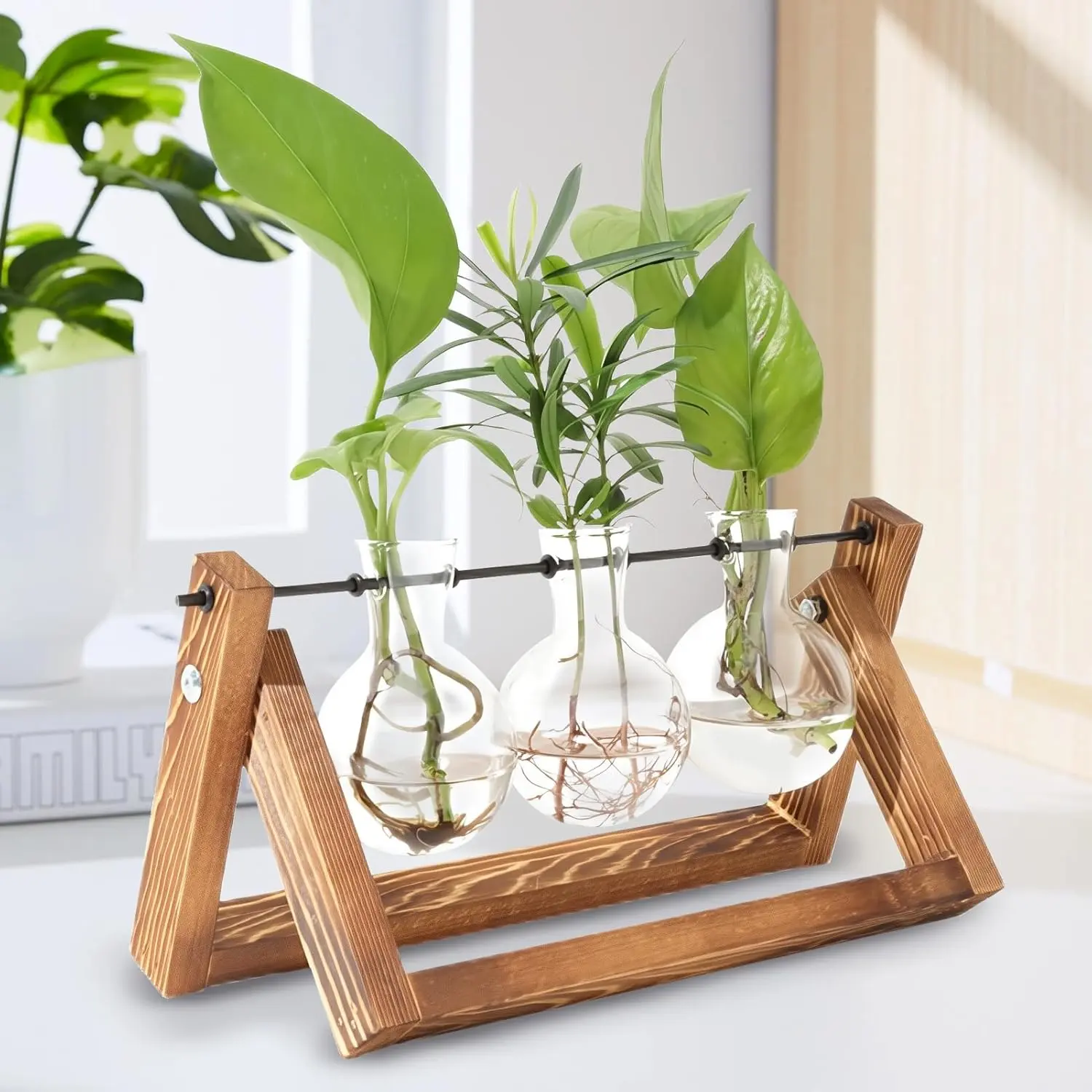 3-Bulb Scratch-Free Glass Hydroponic Plant Terrarium - Retro Wood Stand, Smooth Metal Swivel Holder, Indoor Countertop Decor for Home Office, Holiday Gifts