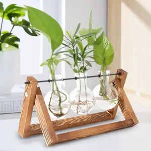 Plant Terrarium with Wooden Stand, Air Planter Bulb Glass Vase Metal Swivel Holder Retro Tabletop for Hydroponics Home Garden Office Decoration - 3 Bulb Vase