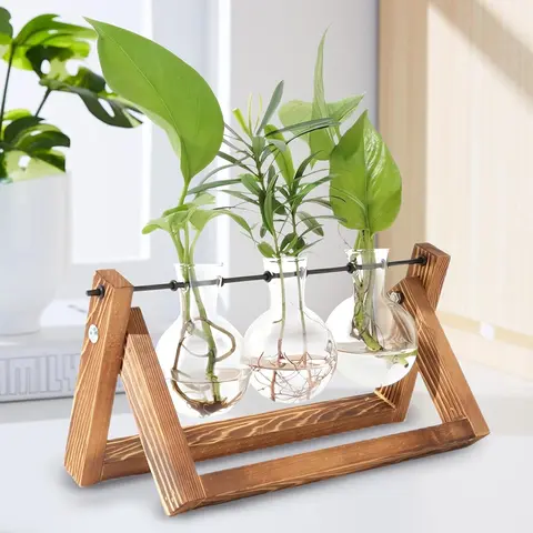 3-Bulb Scratch-Free Glass Hydroponic Plant Terrarium - Retro Wood Stand, Smooth Metal Swivel Holder, Wood Planter Box, Indoor Home Office Decor, Gifting Option, Pot House Plant Accessory, Glass Terrarium Accessory