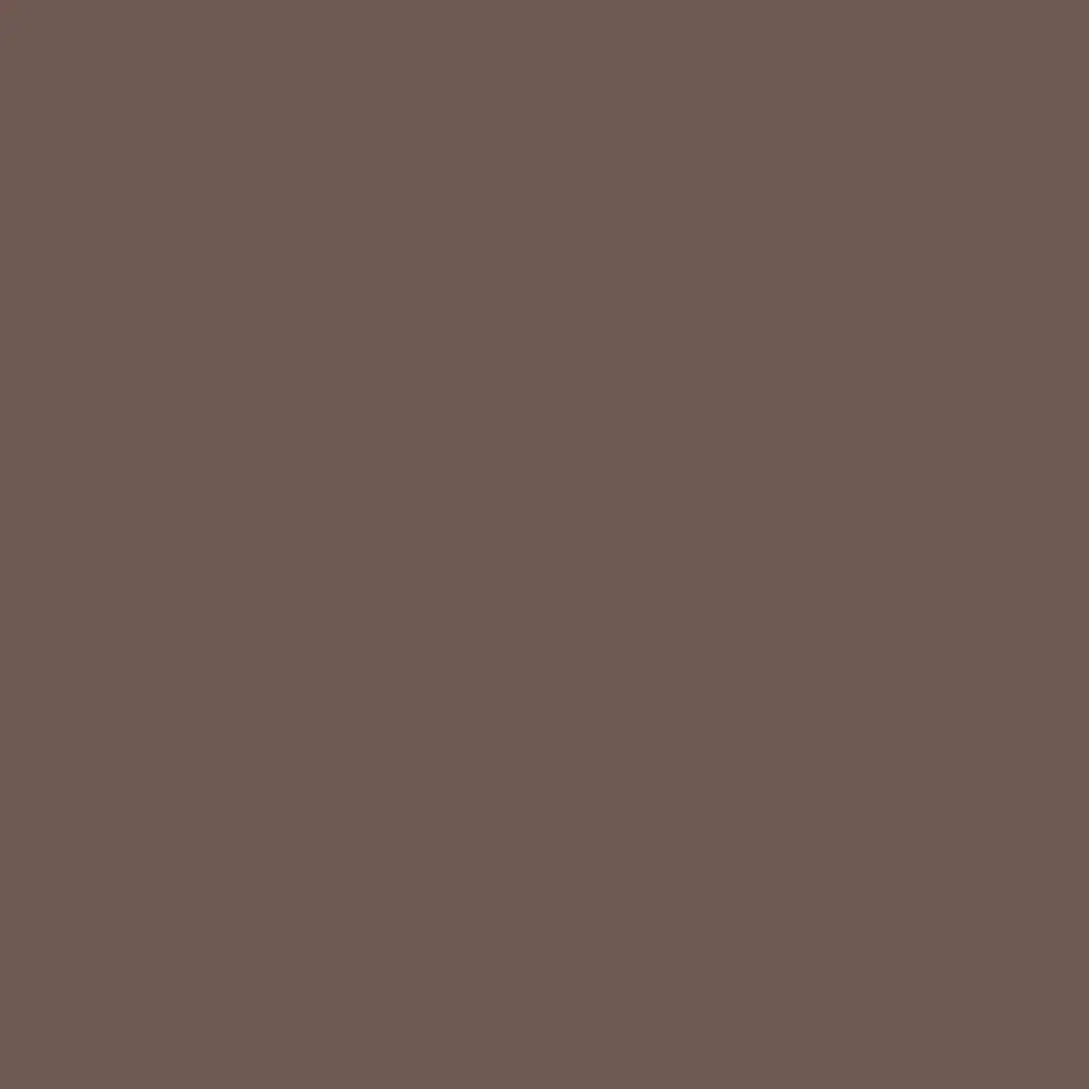 Fabric Riley Blake Raisin Confetti Cotton by the Quarter Yard C120-RAISIN