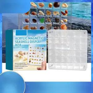 Acrylic Magnetic Seashell Display Box — Multifunctional Transparent Case for Displaying, Storing, and Decorating with Seashells (DIY Organizer)