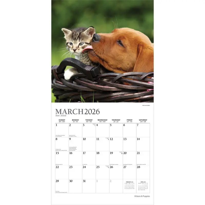 Kittens & Puppies | 2026 12 x 24 Inch (Hanging) Monthly Square Wall Calendar | Foil Stamped Cover | Plato | Animals Cute Kitten Pets 2
