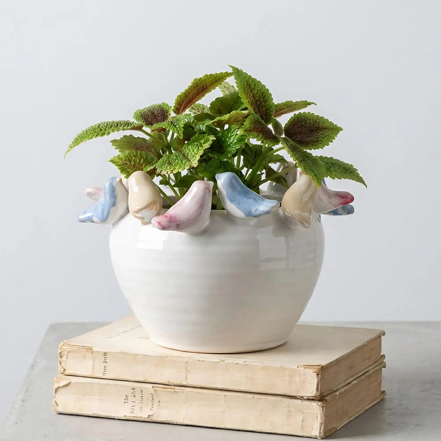 Ceramic Cottagecore Farmhouse Planter - 7.8" Diameter, 5.11" Tall, Birds on Rim, Glossy Reactive Glaze, Durable Stoneware, Colorful, Decorative Styling, Indoor Succulent Flower Pot, Vintage Tabletop Home Décor Accent