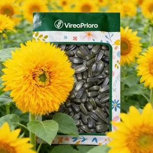 100(Featured) Teddy Bear Sunflower Seeds Fluffy Double Blooms Easy to Grow for Home Garden & Cut Flowers Compact Size Ideal for Pots and Small Gardens Fast Growing Beginner Friendly Non-GMO Heirloom Seeds
