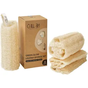 Natural Loofah Sponge Set – 100% Plant-Based, Dye-Free, Biodegradable Bath Exfoliator for Glowing Skin – Handcrafted in Vietnam (4-Pack)