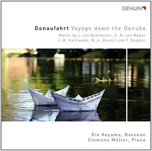 Beethoven / Weber / Kalliwoda / Mozart / Doppler - Voyage Down the Danube  [COMPACT DISC - CD]