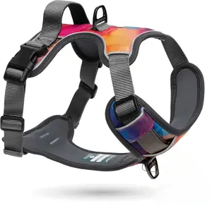 Embark Adventure No Pull Dog Harness, Reflective Trim No Pull Harness for Medium Sized Dog - Military Grade Nylon, Front Clip with Gel Lined Handle.Soft & Padded Puppy
