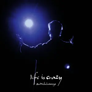 Sean Nicholas Savage - Life Is Crazy  [VINYL RECORD - LP]