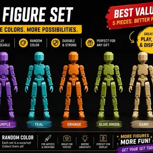 Set of 5 Toy Skeleton different colors -  Flexible Action Figure with Poseable Joints for Play and Display