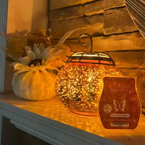 Wax Warmer, Air Purifier, Scentsy Go, Wax Bars, Scent Pods, Scentsy Buddies - Home Decor & Religious Gifts