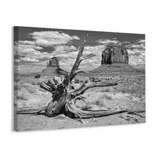 Black And White Desert Landscape Wall Art Nature Dead Tree Desert Poster Decor Print