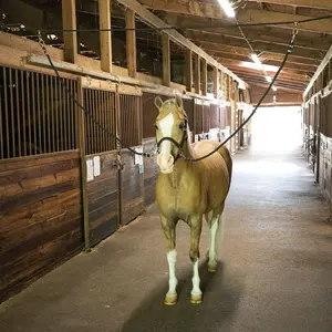 Dura-Tech Overhead Aisle Tie