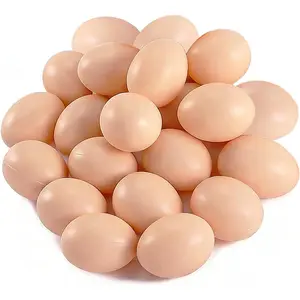 20 PCS Plastic Fake Eggs for DIY Easter Eggs Painting and Realistic Egg