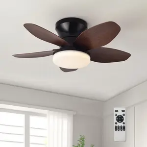 Ceiling Fans with Lights - 25 Inch Small Low Profile Ceiling Fan and Remote,Flush Mount Ceiling Fan with 5 Reversible Blades 6 Wind Speeds, Modern Ceiling Fans for Bedroom Kitchen Indoor Lighting
