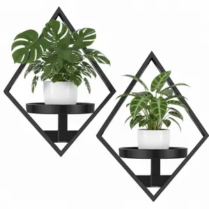 This plant display stand features a sturdy structure and strong load-bearing capacity, making it ideal for showcasing greenery, small items, and various home decor pieces—creating a neat and aesthetically pleasing wall storage space.